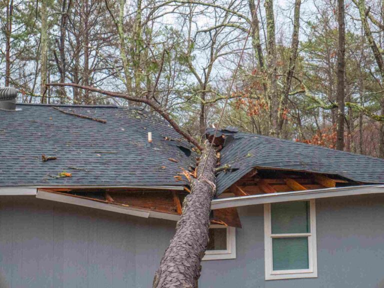 Tree fallen through residential roof causing severe storm damage and emergency structural restoration needs handled by Paul Davis Restoration of Southeast MO, Carbondale & Paducah
